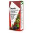 Floradix 鐵+草藥保健品液態提取物配方 250ml