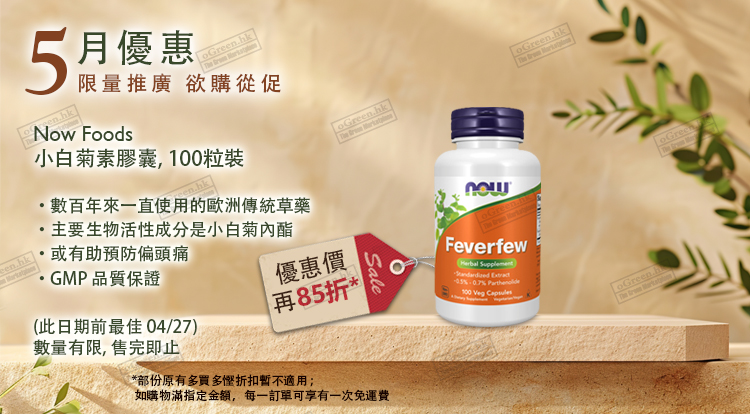 每月優惠