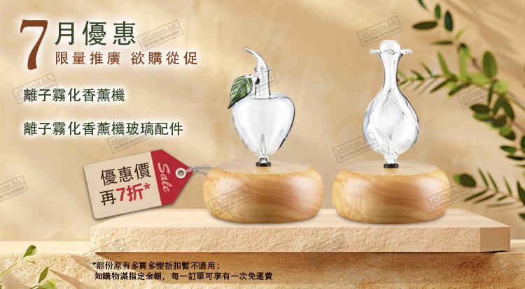 每月优惠