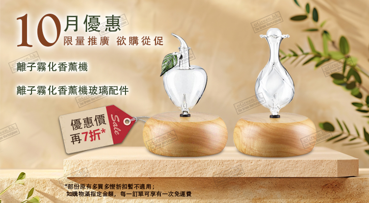 每月优惠