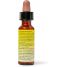 Bach Rescue Pet Calming Dropper 10ml for Dogs & Cats