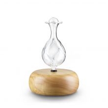 Ionic Nebulizing Aromatherpy Diffuser (Vase)