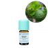 Florihana, Organic Bergamot Essential Oil, 5g