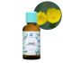 Florihana, Organic Evening Primrose Oil, 50ml