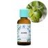 Florihana, 有機荷荷巴油 50ml