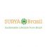 Surya Brasil, 草本海娜健康染髮劑 (白髮遮蓋) 70ml - 金色