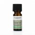 Tisserand Aromatherapy, Carrot Seed Ethically Harvested Pure Essential Oil, 9ml